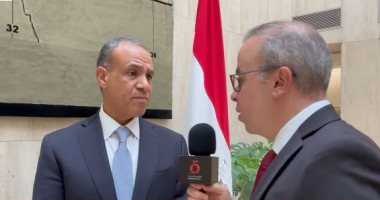 وزير الخارجية: العلاقات المصرية الأمريكية استراتيجية ونتطلع إلى تعزيزها السفير بدر عبد العاطى وزير الخارجية
