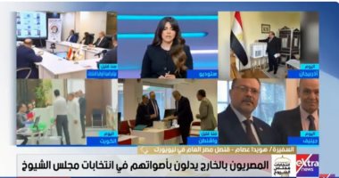 قنصل مصر بنيويورك: نتبع إجراءات اللجنة العليا الوطنية وتواجد كامل طاقم القنصلية لتيسير الأمور