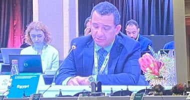 نيوز برو : 
                                            مصر تشارك فى مجموعة العمل المعنية بالتجارة والاستثمار لمجموعة العشرين
                                        