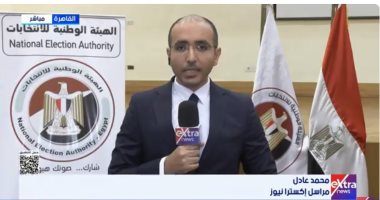 مراسل إكسترا نيوز: الوطنية للانتخابات لم تتلق أي شكاوى بتصويت المصريين في الخارج
