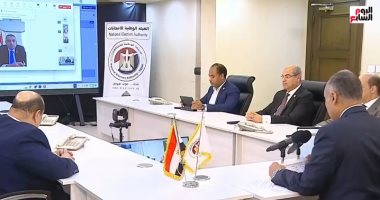 المصريون بالخارج يدلون بأصواتهم فى انتخابات مجلس الشيوخ 2025.. فيديو