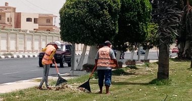 تكثيف أعمال صيانة المسطحات الخضراء يالإسماعيلية استعدادا لانتخابات الشيوخ