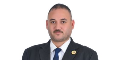 قيادى بحماة الوطن: مصر تواصل جهودها لدعم القضية الفلسطينية على جميع المستويات