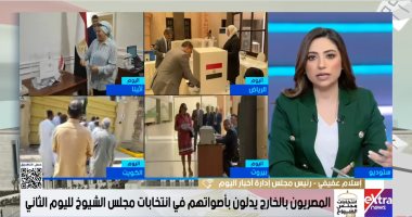 إسلام عفيفى: إقبال المصريين بالخارج على انتخابات الشيوخ ضربة قوية ورسالة دعم