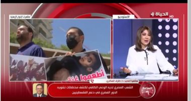 طارق العكارى: الإخوان جماعة مغرضة.. ومصر ليست فى حاجة للدفاع عن نفسها