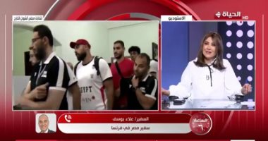 سفير مصر بفرنسا: انتخابات الشيوخ تسير بيسر وتخصيص مكان لذوى الهمم للتصويت