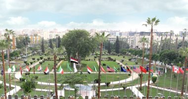جامعة المنصورة