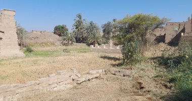 منطقة آثار الأقصر تزيل الحشائش والمخلفات لتنظيف منطقة معبد الطود.. صور