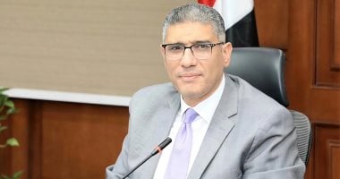 محافظ الجيزة: انتظام فتح اللجان ثانى أيام انتخابات مجلس الشيوخ المهندس عادل النجار محافظ الجيزة