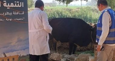 قافلة بيطرية لمؤسسة حياة كريمة بساقية موسي فى المنيا قافلة بيطرية لحياة كريمة بساقية موسي بالمنيا