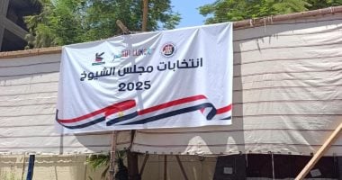 انتخابات مجلس الشيوخ