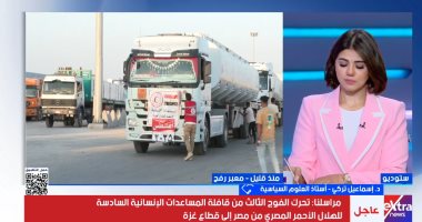 خبير: مصر الركيزة الأساسية والحصن الحصين لدعم الأشقاء الفلسطينيين فى غزة