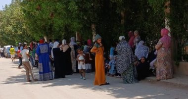 انتخابات الشيوخ.. إقبال كبير من السيدات على لجنة الهدى بهرم سيتى.. صور