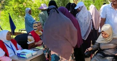 حضور لافت لكبار السن وذوى الهمم فى انتخابات الشيوخ بالوادى الجديد.. صور