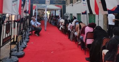 انتخابات مجلس الشيوخ