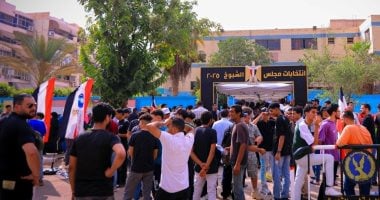 انتخابات مجلس الشيوخ وإقبال المواطنين على اللجان