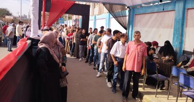 انتخابات مجلس الشيوخ