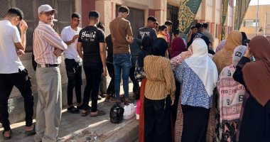 الشباب فى المقدمة أمام لجان الدقهلية للتصويت بانتخابات الشيوخ.. فيديو