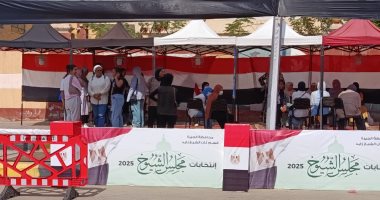 توافد نسائي في انتخابات مجلس الشيوخ بدائرة الشيخ زايد.. صور