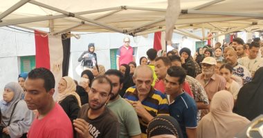 عضو الهيئة الوطنية فى جولة تفقدية مع مراقبين دوليين لمتابعة سير الانتخابات