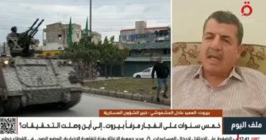 العميد عادل المشموشى