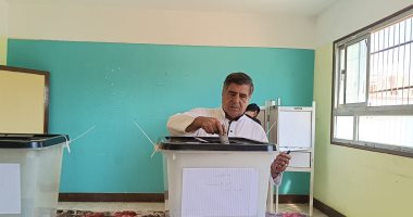 رئيس "الشئون العربية" بالنواب: المشاركة بانتخابات الشيوخ تعكس وعى المصريين