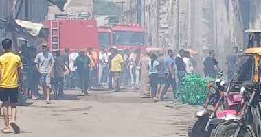 تفحم سيارتى نقل فى حريق مخزن بلاستيك وكرتون بمينا البصل بالإسكندرية حريق مخزن بلاستيك في الإسكندرية