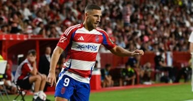  اللاعب الإسرائيلي شون فايسمان