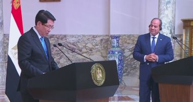 الرئيس السيسي: الادعاءات بمشاركة مصر فى حصار غزة "إفلاس"