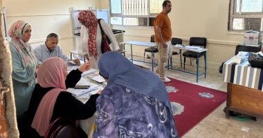 انتخابات مجلس الشيوخ بالدقي 