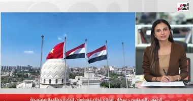 سكان غزة يتعرضون لإبادة جماعية ممنهجة.. تصريحات قوية للرئيس السيسي.. فيديو سارة إسماعيل مذيعة اليوم السابع