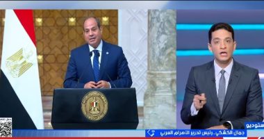 جمال الكشكى: الموقف المصرى من دعم القضية الفلسطينية لا يقبل المزايدة جانب من المداخلة