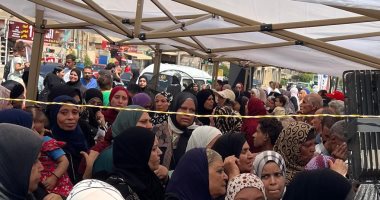 انتخابات مجلس الشيوخ