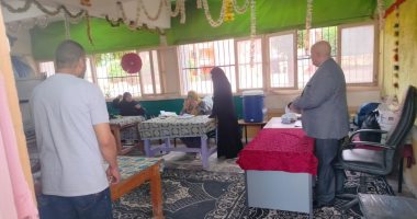 إقبال متوسط على لجان الاقتراع بمحافظة الغربية فى ثانى أيام انتخابات الشيوخ