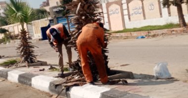 رفع كفاءة المسطحات الخضراء فى الإسماعيلية استعدادا لمهرجان المانجو.. صور رفع كفاءة المسطحات الخضراء في الإسماعيلية