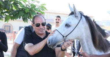 الرئيس السيسى يجرى زيارة تفقدية إلى الأكاديمية العسكرية المصرية السيد الرئيس عبد الفتاح السيسي