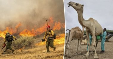 العالم هذا المساء.. خسائر كبيرة في كاليفورنيا إثر حرائق الغابات.. والثروة الحيوانية في خطر.. وتربية الجمال فى الصومال قادرة على توفير فرص عمل.. وترامب يجيب على أسئلة الصحفيين من "سطح البيت الأبيض".. صور وفيديو العالم هذا المساء