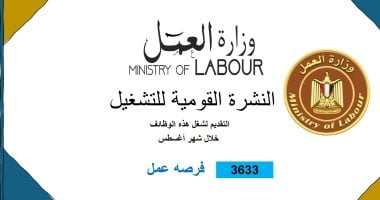 وزارة العمل تعلن توفير 3633 فرصة عمل جديدة فى 34 شركة بـ10 محافظات نشرة التوظيف نصف الشهرية