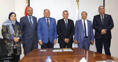 الريف المصري" يتعاون مع "البحوث الزراعية" لإنتاج تقاوي الخيار