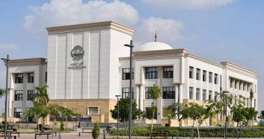 القانون يحدد شروط الموافقة علي التفرغ العلمى لأساتذة الجامعات..التفاصيل