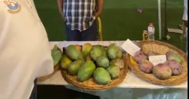 مهرجان المانجو