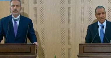 وزير الخارجية: تهجير الفلسطينيين من قطاع غزة ومناطق فى الضفة خط أحمر وزير الخارجية ونظيره التركي