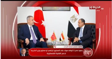 وزير الخارجية الأسبق: قضية فلسطين مكون رئيسى فى استراتيجية مصر حفاظا على أمنها