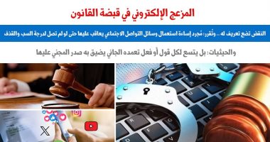 النقض تقرر:  مجرد إساءة استعمال وسائل التواصل الاجتماعى يعاقب عليها