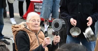 الفنانة العالمية فانيسا ريدجريف فى وقفة داعمة لفلسطين