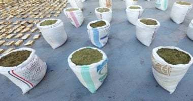 الداخلية تضرب بقوة.. ضبطيات مخدرات تجاوزت 3 مليارات جنيه في حملات أمنية.. خبراء لـ"اليوم السابع": محاصرة المخدرات المستحدثة.. وتقنيات حديثة في الرصد.. ضبط أنواع جديدة وعقوبات صارمة تنتظر المتورطين المواد المخدرة المضبوطة