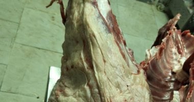  حملات الرقابة