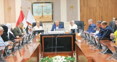 محافظ الوادي الجديد يتسعرض مع رئيس القومي للأمومة والطفولة مقومات المحافظة