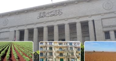 حكم قضائى بإلزام محافظ القاهرة بمبلغ 7 ملايين جنيه لقيمة "ضائع تنظيم".. برلمانى