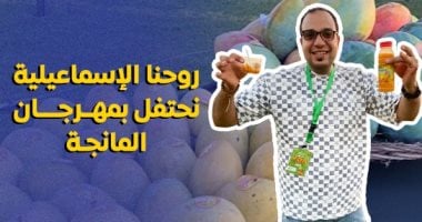 محمود رضا الزاملى فى مهرجان المانجا بالاسماعيلية